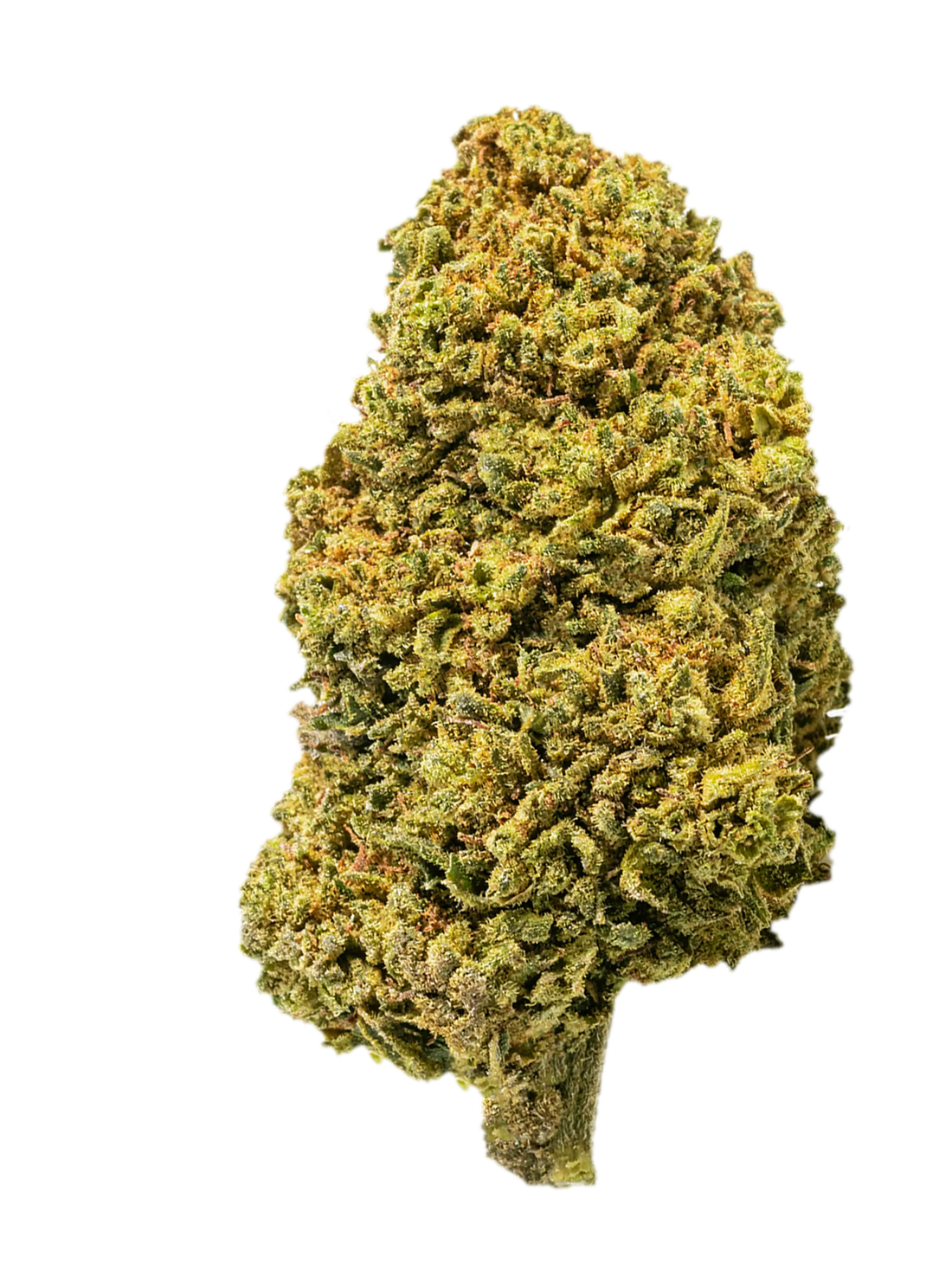 Sour Diesel | Fiori di CBD