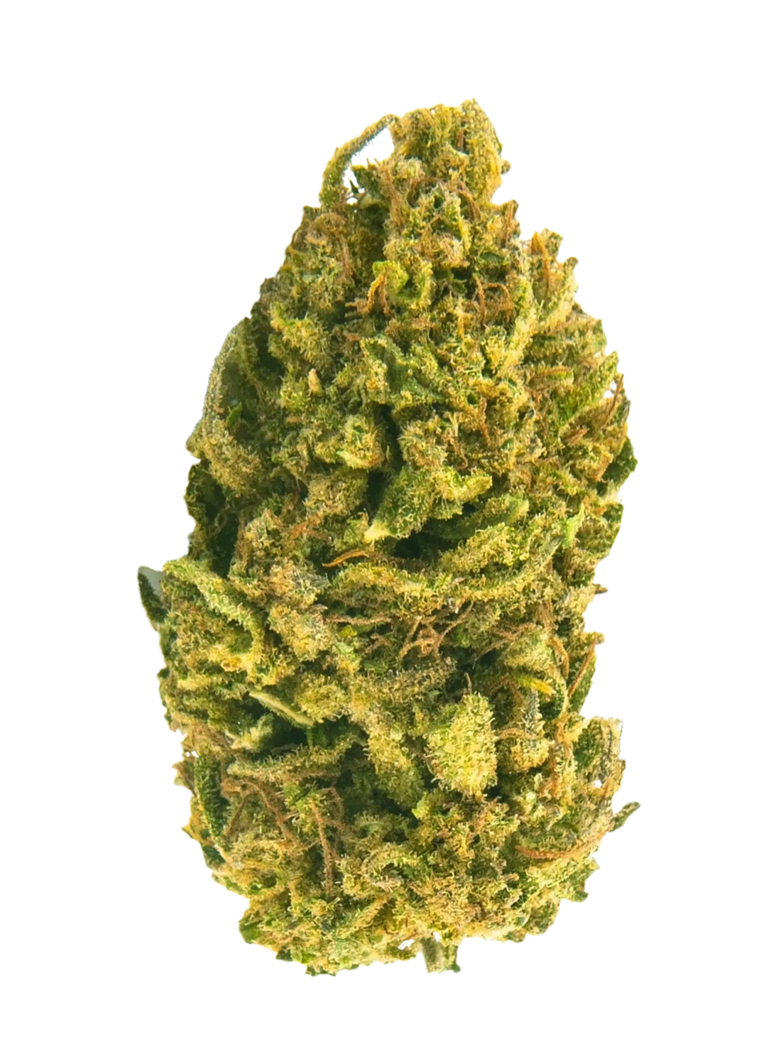 Critical Mass | Fiori di CBD