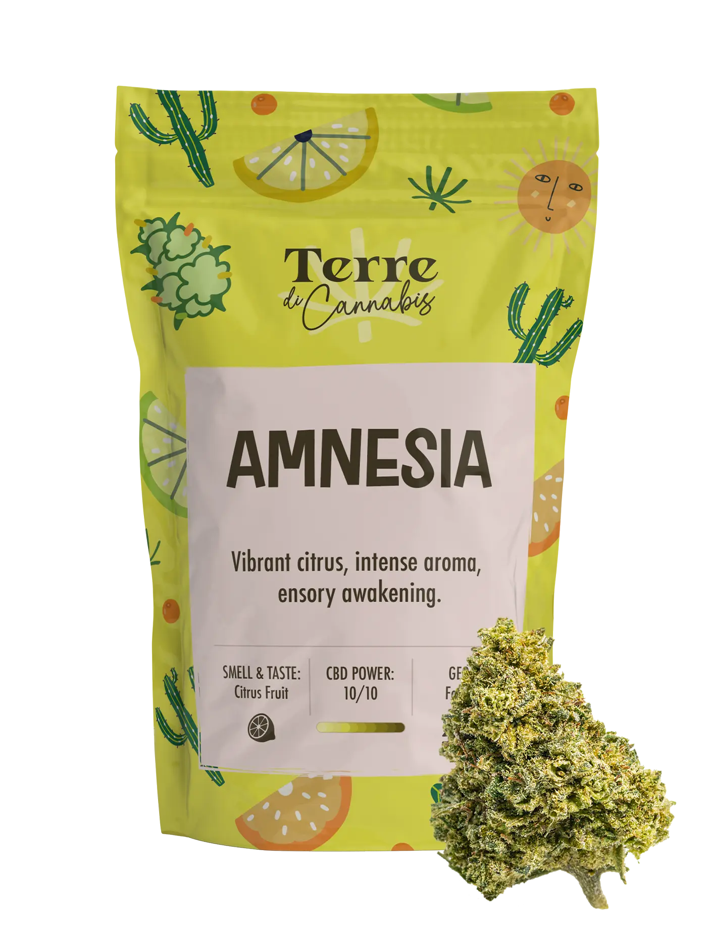 Amnesia | Fiori di CBD