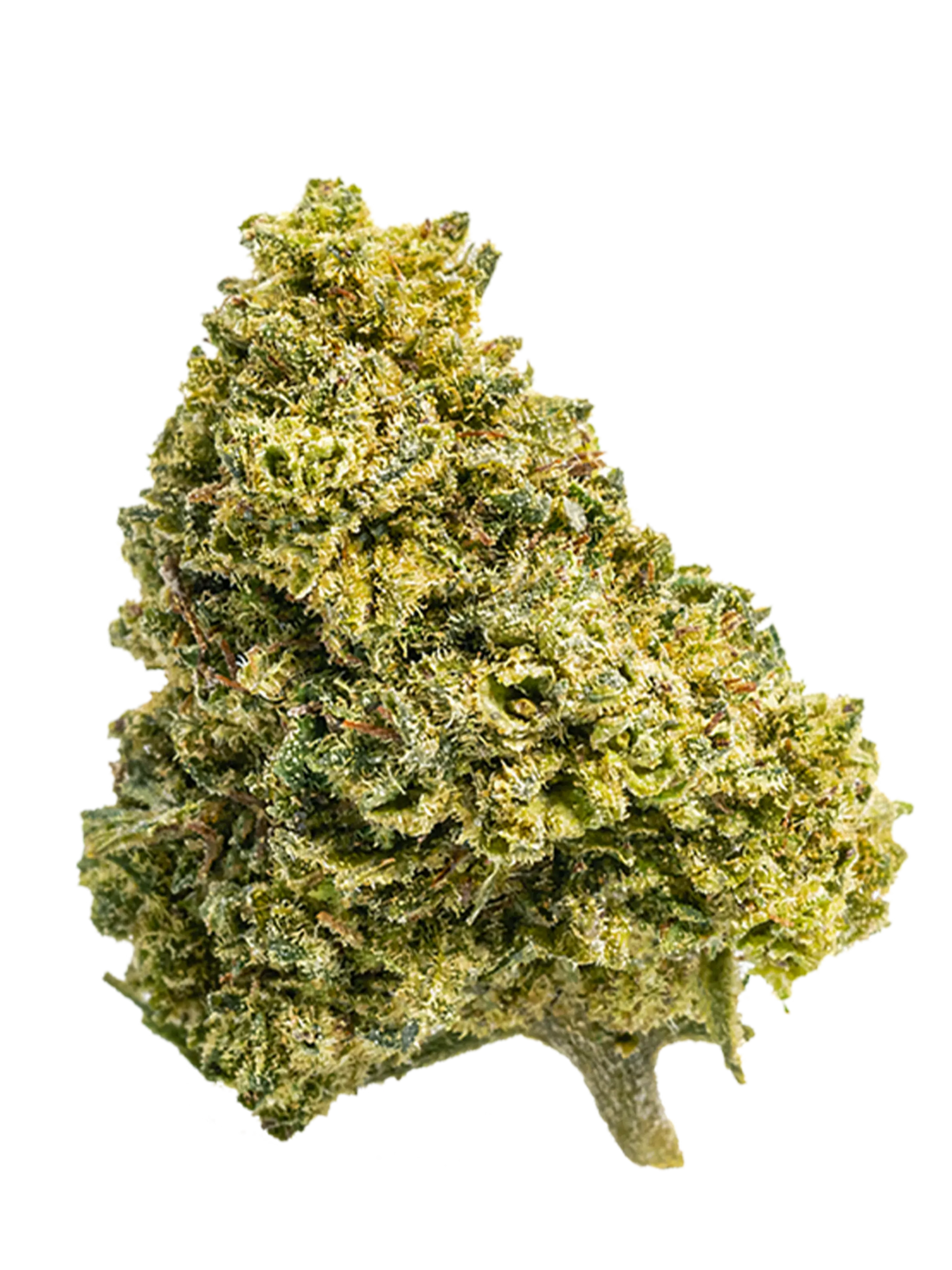 Amnesia | Fiori di CBD