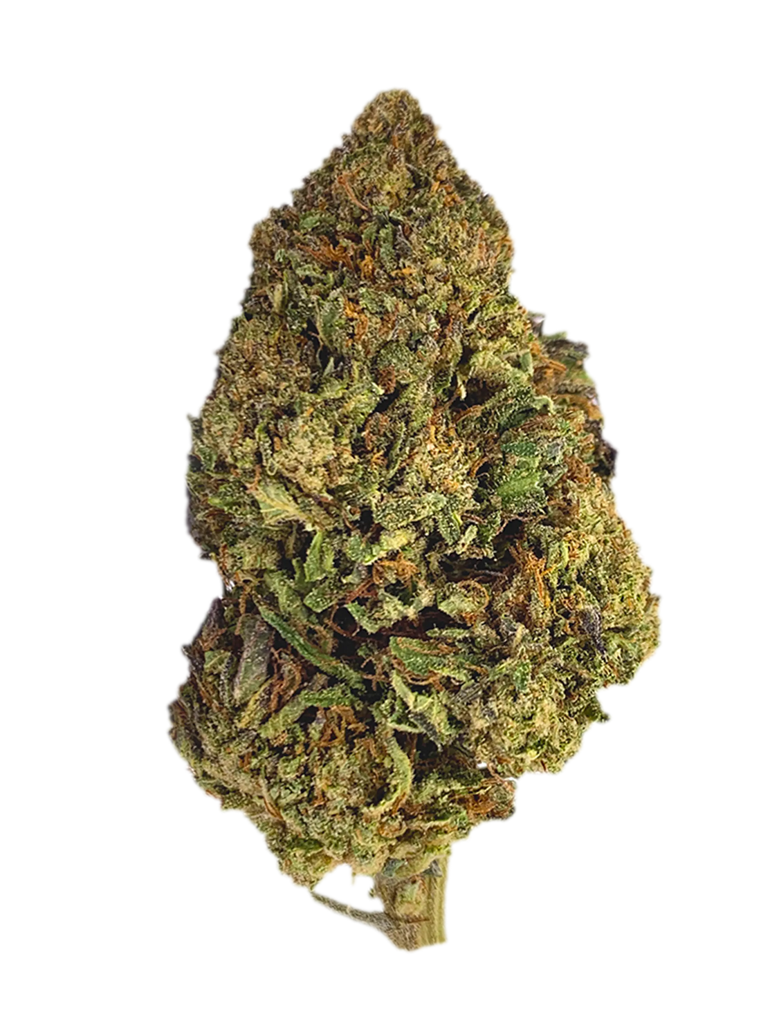 AK 47 | Fiori di CBD