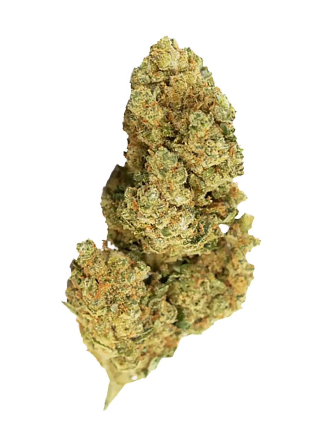 White Widow | Fiori di CBD