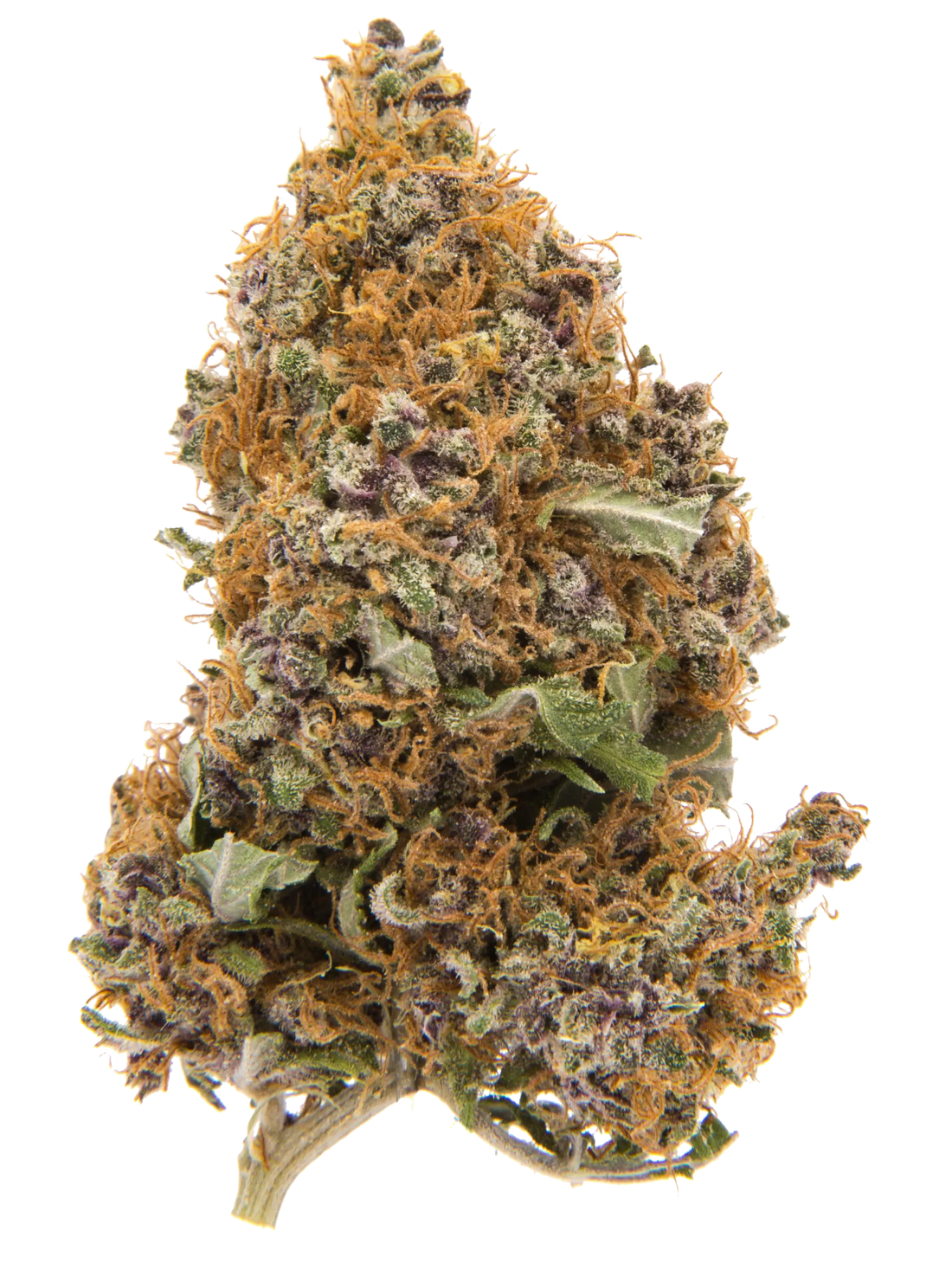 Purple Haze | Fiori di CBD