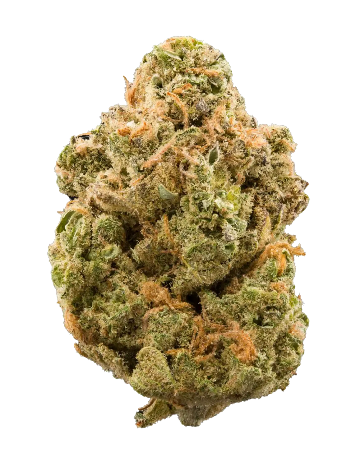 Silver Haze | Fiori di CBD