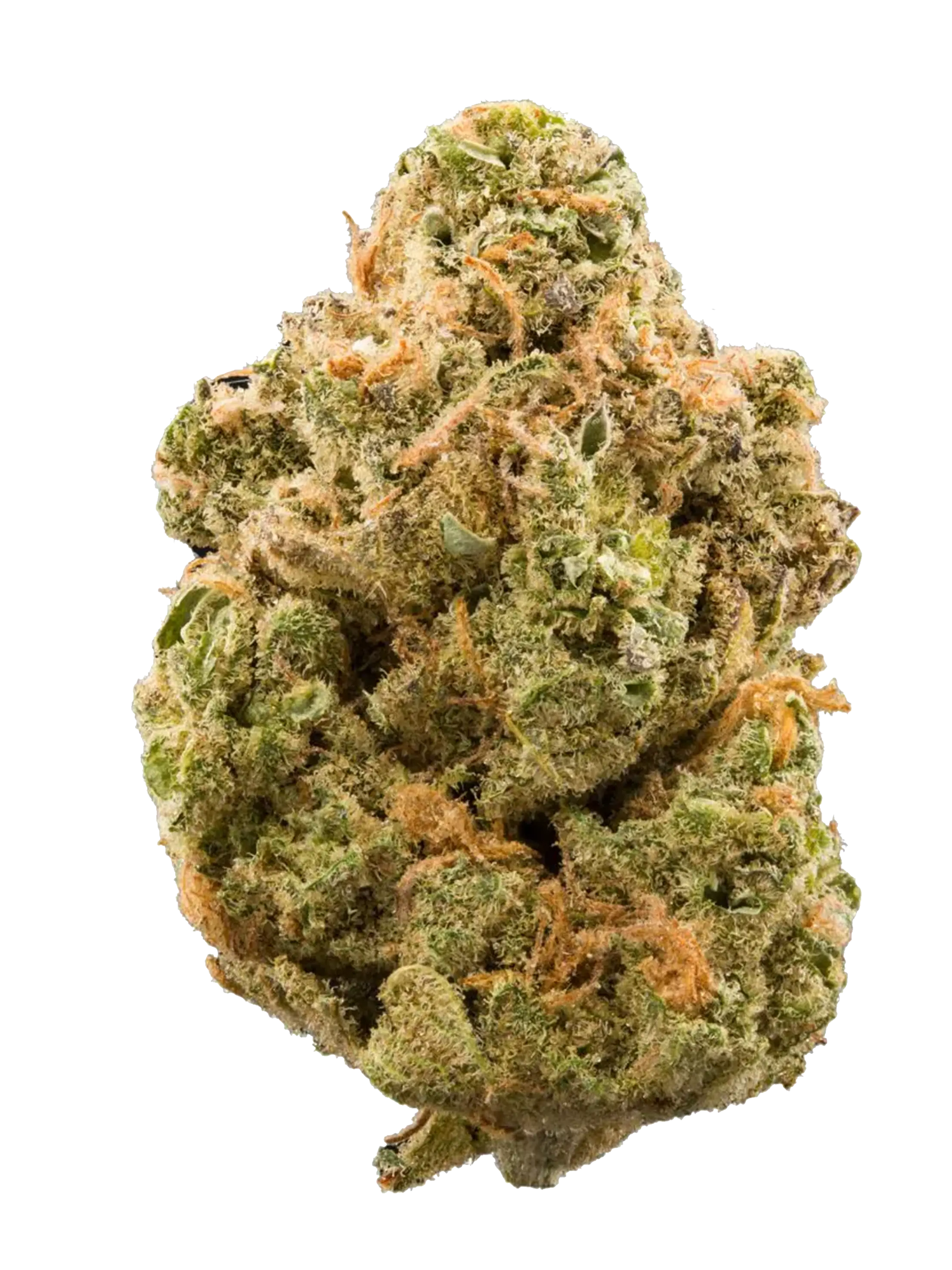 Silver Haze | Fiori di CBD