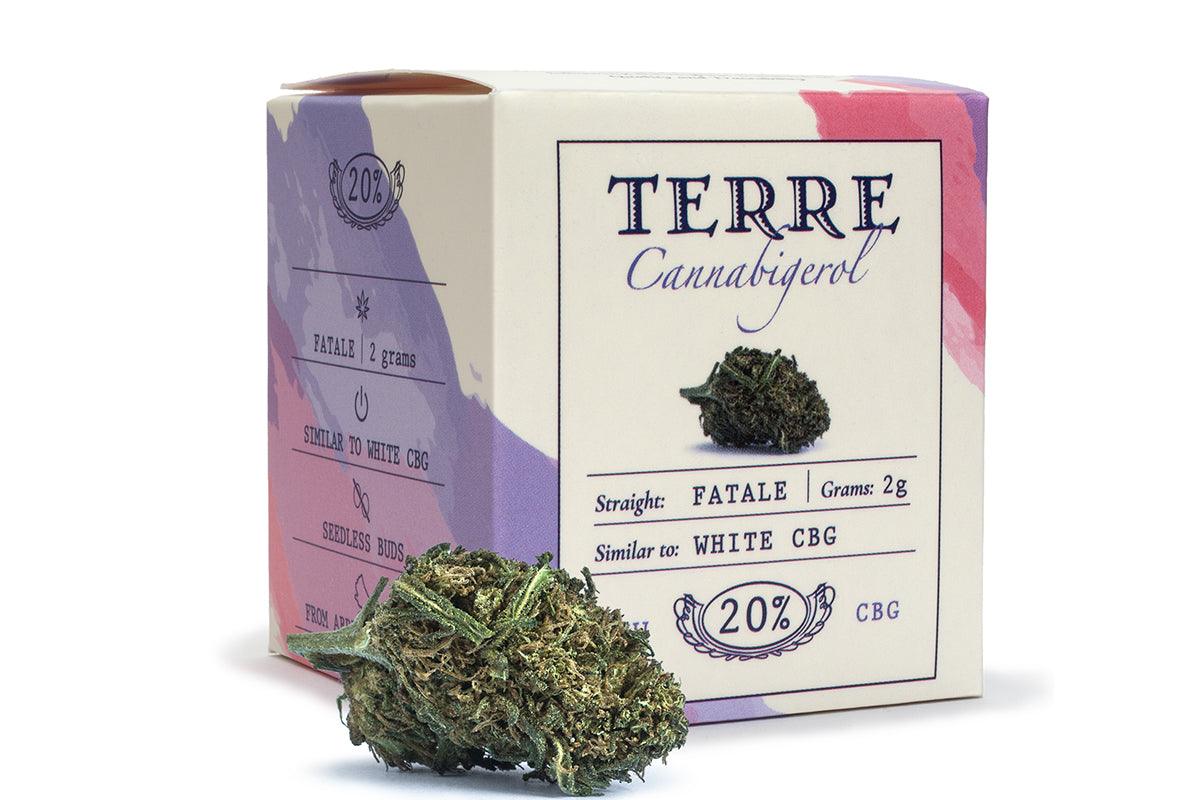 Cannabis legale al Cannabigerolo Fatale White CBG
