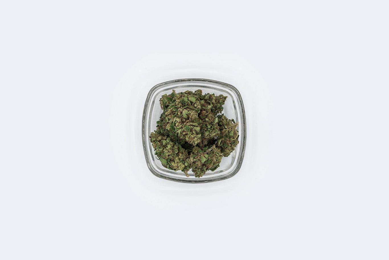 Cannabis da esposizione
