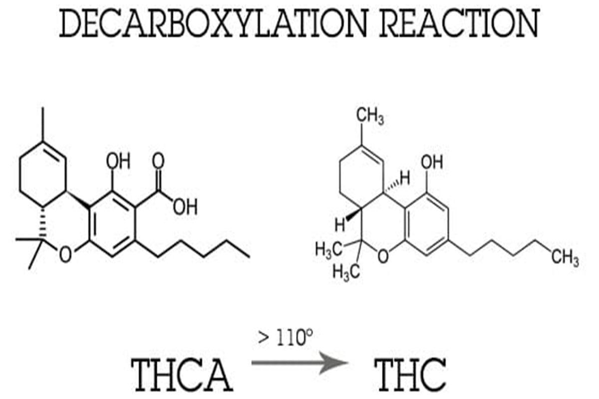 Decarbossilazione Cannabis