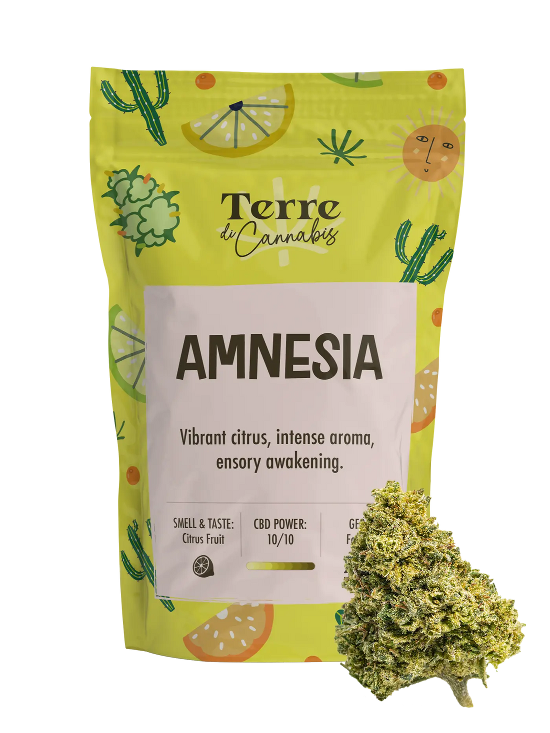 Amnesia | Fiori di CBD