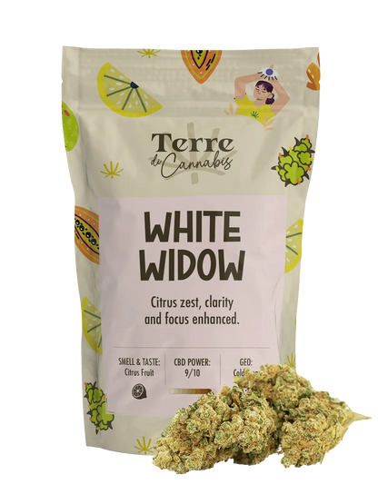 White Widow | Fiori di CBD