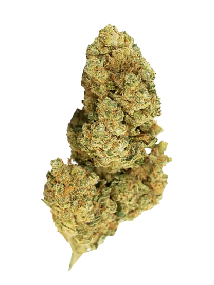 White Widow | Fiori di CBD