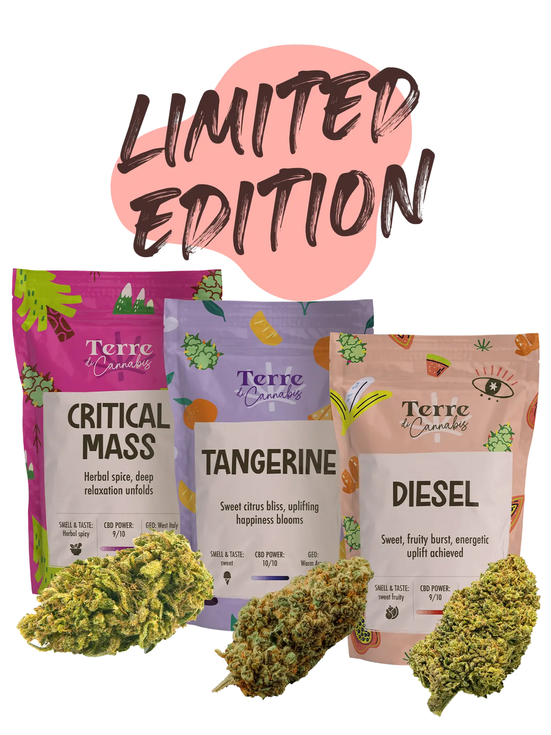 Edizione limitata | 60g